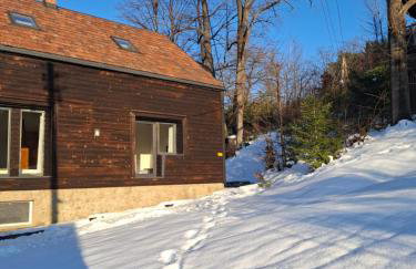 Osada Głębuczek - apartamenty w Beskidach - Foto 54