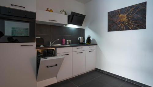 Modernes Ferienapartment: Komfort & Wohlfühlen - Photo 5, stove, dishwasher, pet friendly