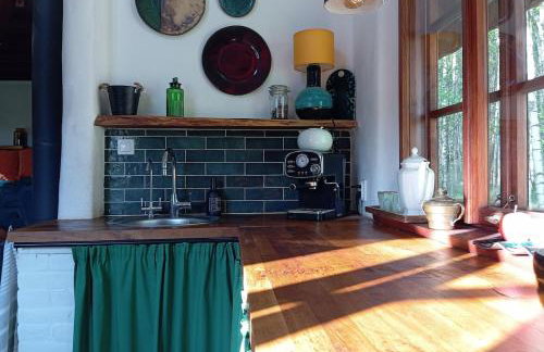 Siedlisko MiłoBrzózka - Photo 21