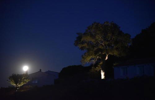 Auberge Santu Martine: Cottage with Pool (Manca) - Foto 30