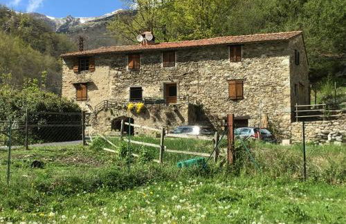 Mas Graffouil - Foto 79