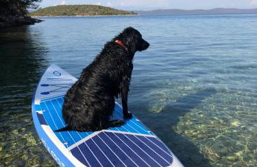 Gajeta Residence Božava - Foto 11