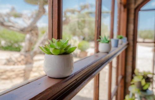 Villa Rural Avril - Foto 18