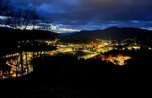 2 Bedroom Apartment overlooks WCU and Cullowhee NC - Smoke and Pet free - Foto 7
