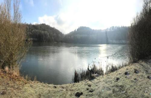 Strotzbusch Forest Hideaway - Foto 47