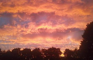 Postwood Gardens Balmoral Country Cabin - Photo 18