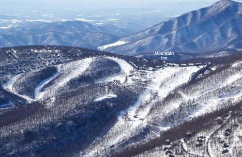 Pets-OK Retreat w Sauna, Jacuzzi at Wintergreen - Foto 53