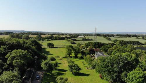 Burraton Cob - Foto 4