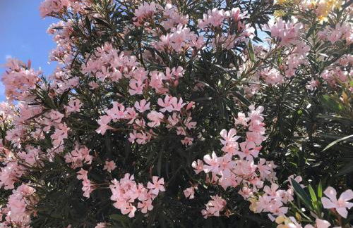 Apartamento con impresionantes vistas y piscina - Foto 75