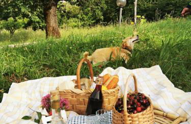 Agriturismo Donna Bianca - Foto 42