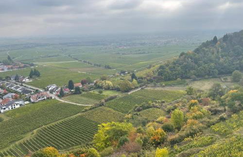 Dicker Stein - Foto 45