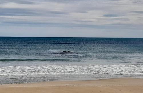 Relax Les Palmeres - Foto 50