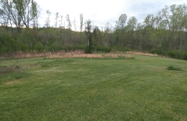 Cook Road Farmhouse - Foto 13