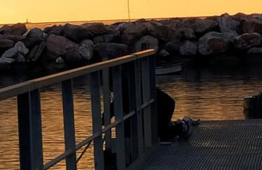 Mar-Vada Apartment Relax at the Tuscany coast - Foto 46