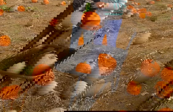 2013 Willerby Sunset Static Caravan Holiday Home - Foto 18