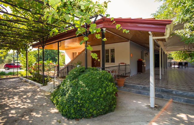 Lumos Homes - Photo 2