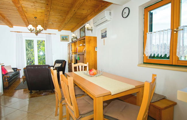 House Pansy - Foto 8