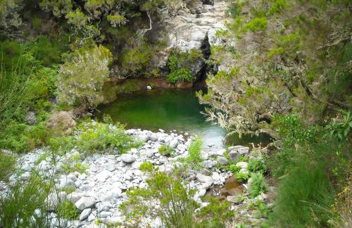 Casa dos Serrões - Foto 24