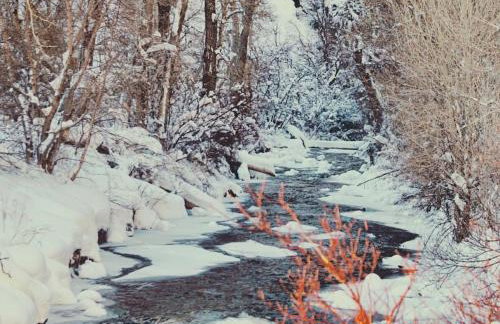 Mountain Apartment Located in BigCottonwood Canyon - Foto 24