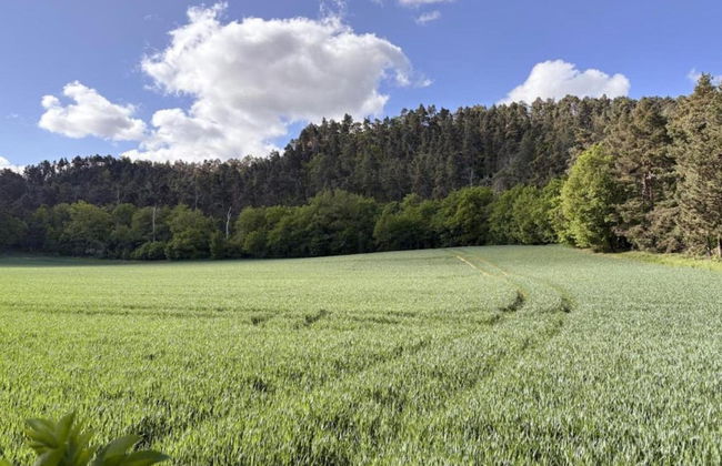 Family-friendly Timmenrode Stay - Foto 29