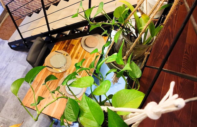 Le Travertin - Photo 48