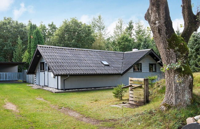 Spacious Holiday Home in Ansager near Lake - Foto 24