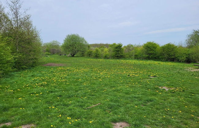 Luxury Retreat by Ho Bay - By Traum Ferienwohnungen - Photo 16