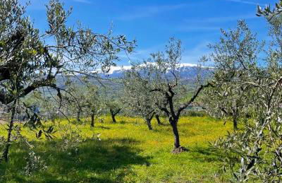 GArt House Holiday Home - Foto 16