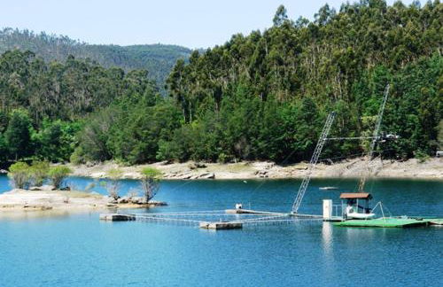 Canastro do Vidoeiro - Foto 31