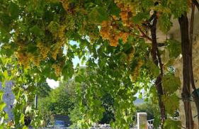 Stone House Kula Milica - Foto 40