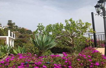 La Torrecica, con carácter andaluz y magníficas vistas al mar y Sierra Nevada - Photo 41