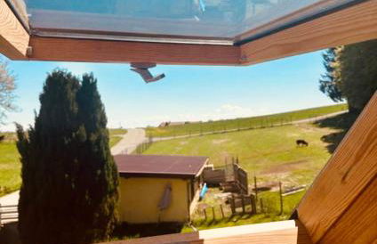 Badischhaus am Waldrand & Weitblick - Foto 23