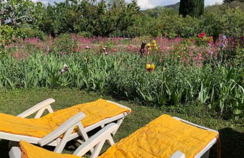 Les Grillons Maison cozy avec grand jardin - Foto 21