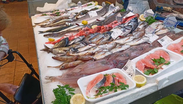 Tour in O Grove - Foto 5