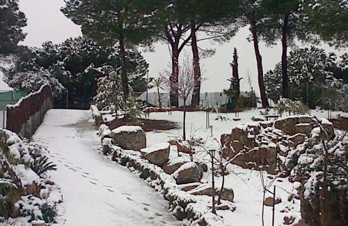 CABAÑA DE MADERA JUNTO AL LAGO LAS JARAS - Foto 34