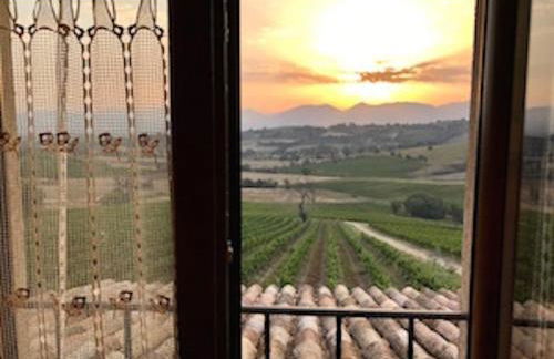 Genius Loci Country Inn - Photo 61