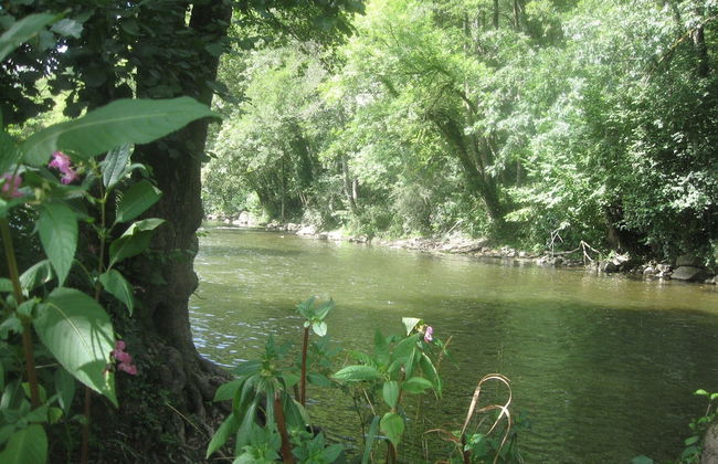 A Beautiful Belle Epoque Villa in the Heart of Hamoir - Foto 34