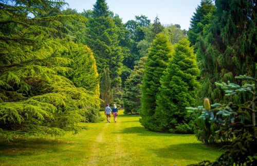 Pinetum Garden Cottages - Foto 104