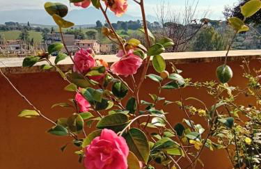 acasadimamma - Foto 28