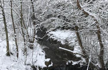 Pasieka - Dom Wypoczynkowy - Foto 56