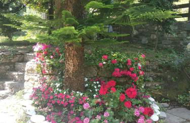 Guesthouse To kalivi - Foto 11