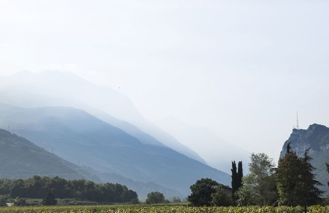 VIVERE suites and rooms - Photo 56