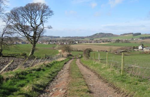 Buchanan Park - Photo 24