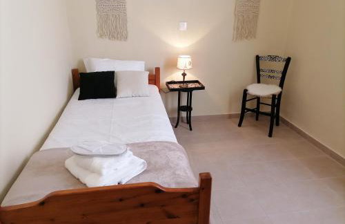 Lemon Tree House - Photo 24