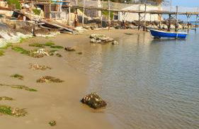 Casa di Venere - Fossacesia - Foto 63