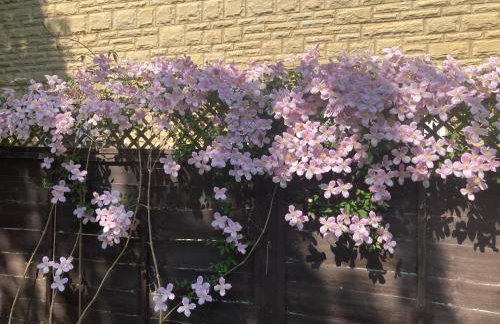 Stylish boutique annexe nestled in Bloxham village - Foto 11