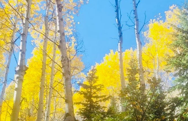 Reduced Nightly Rates! Park City Cabin, Hot Tub, Fire Pit - Sleeps 14 - Photo 67