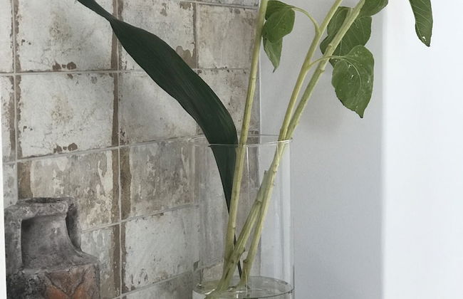 Elia Residences Santorini - Foto 78