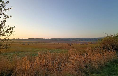Siedlisko Na Szlaku Odry - Foto 25