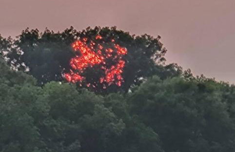 Waterfront Bama Getaway-20 min to UA - Foto 29